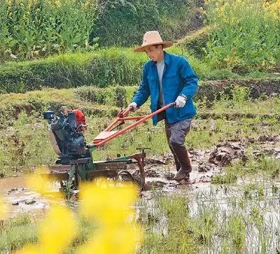 疫情防控的基本常識是什么？（疫情防控和春耕備耕兩不誤）